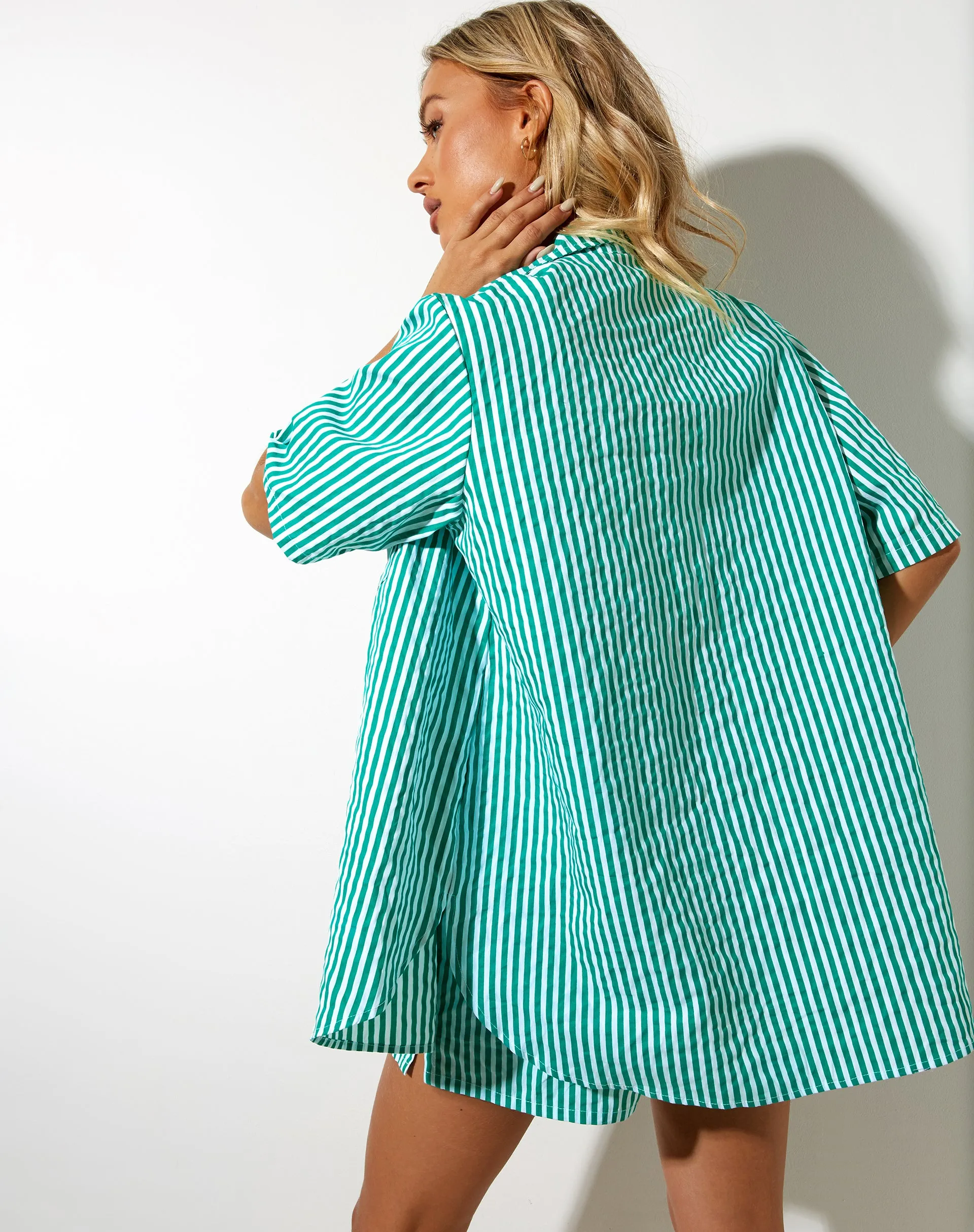 Smith Shirt in Vertical Stripe Green and White