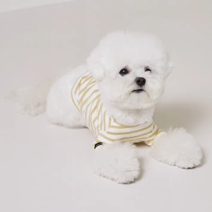 Striped Dog T-Shirt Mustard